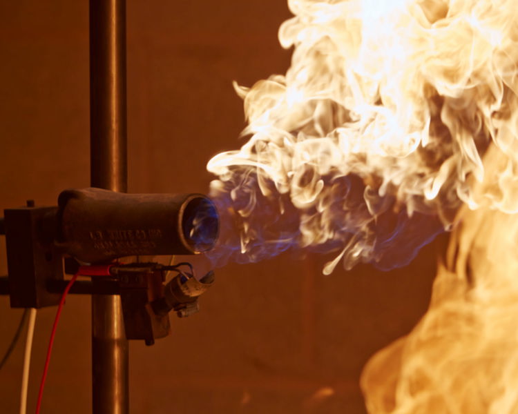 BTTG 01.04.15 032 WEB